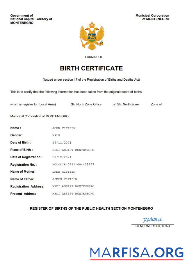 Blank Montenegro birth certificate Word and PDF template